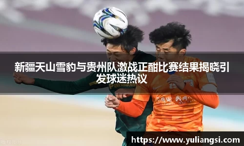 新疆天山雪豹与贵州队激战正酣比赛结果揭晓引发球迷热议